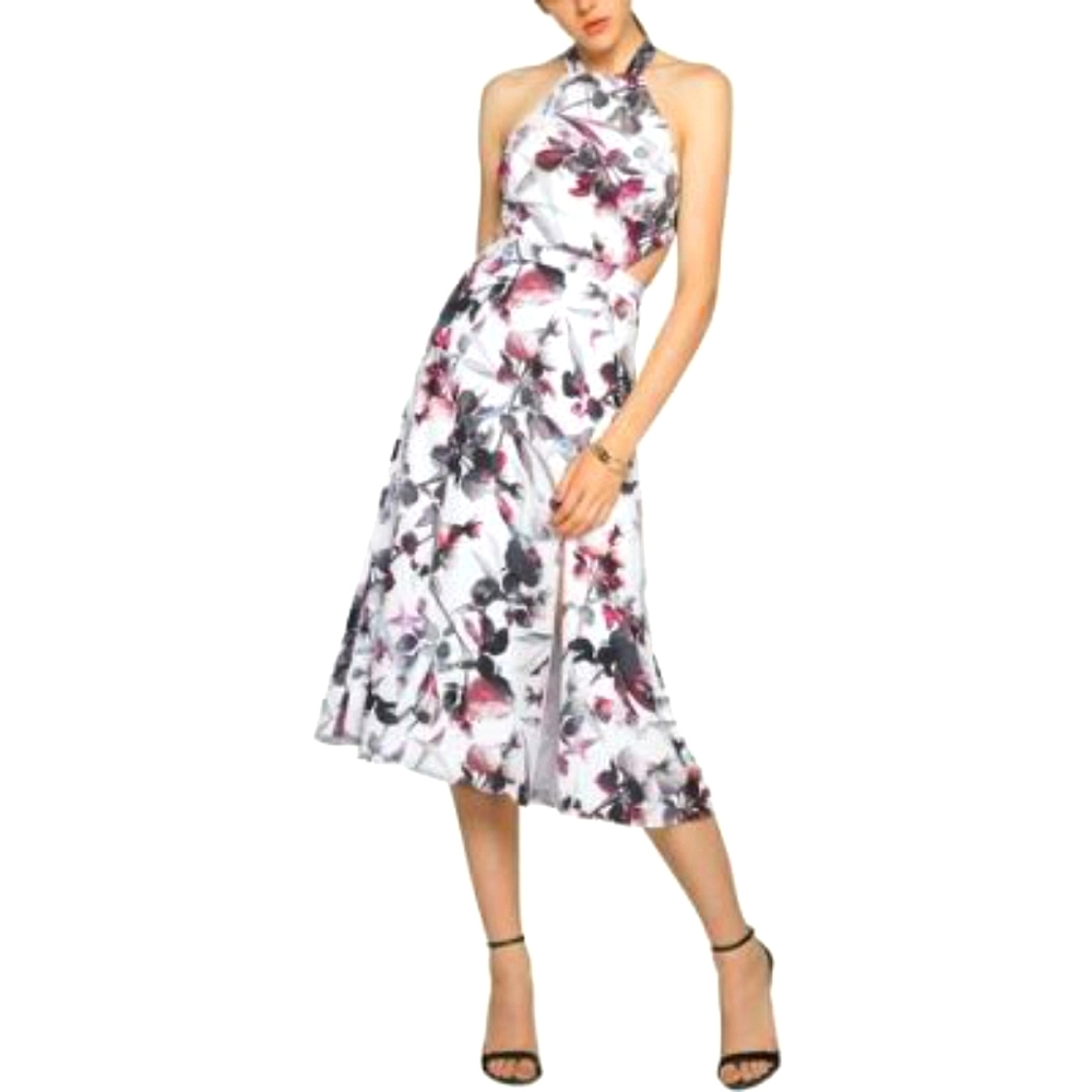 NWT, Fame & Partners Palermo Floral Dress